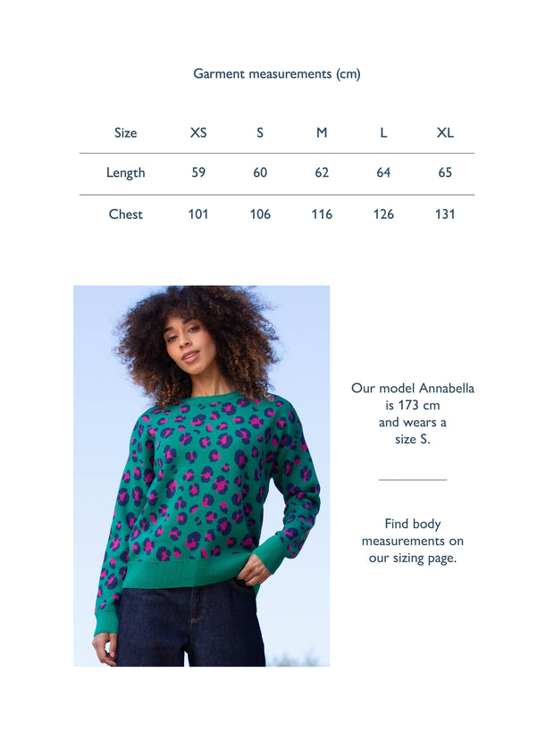 Piddletrenthide Knit Jumper Leopard