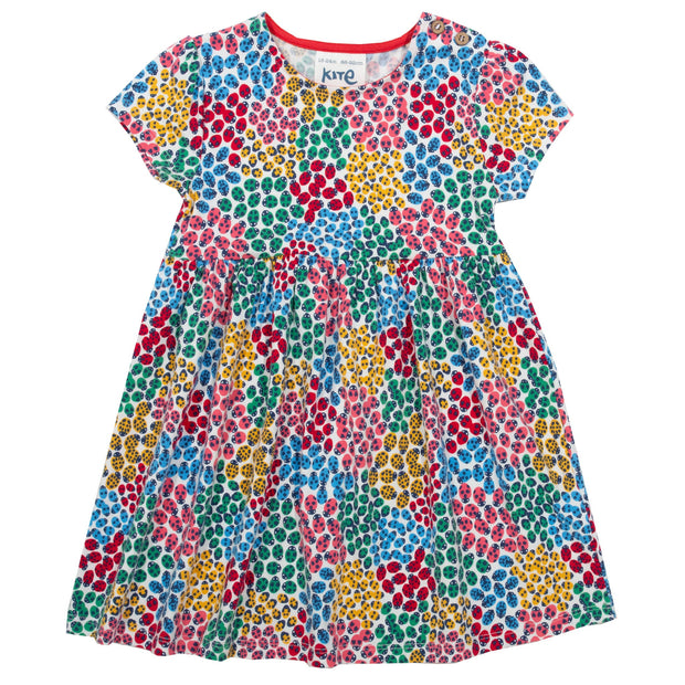 Flat shot of ladybird ditsy dress