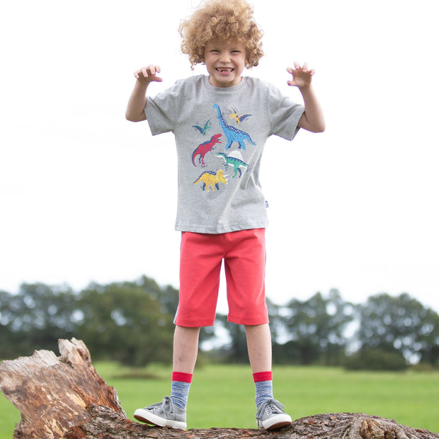 Boy in dinosaur stomp t-shirt