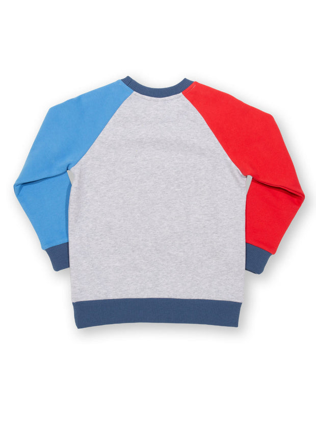Sport-a-saurus sweatshirt