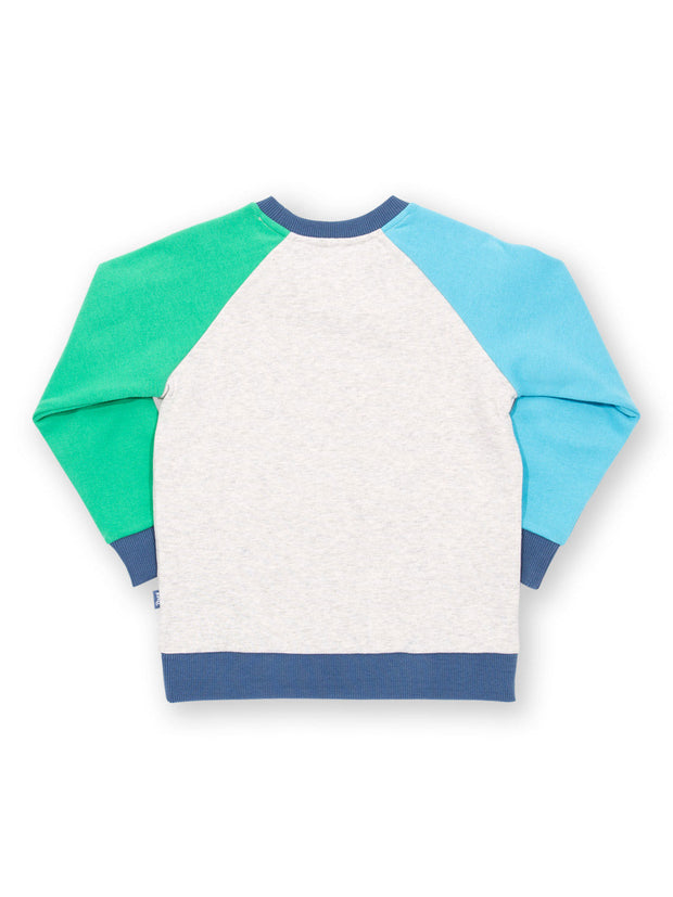 Kite - Boys organic dino play sweatshirt - Appliqué design - Ribbed neckline, cuffs and hem