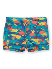 Kite - Boys  rock pool swim trunks - UPF 50+ protection