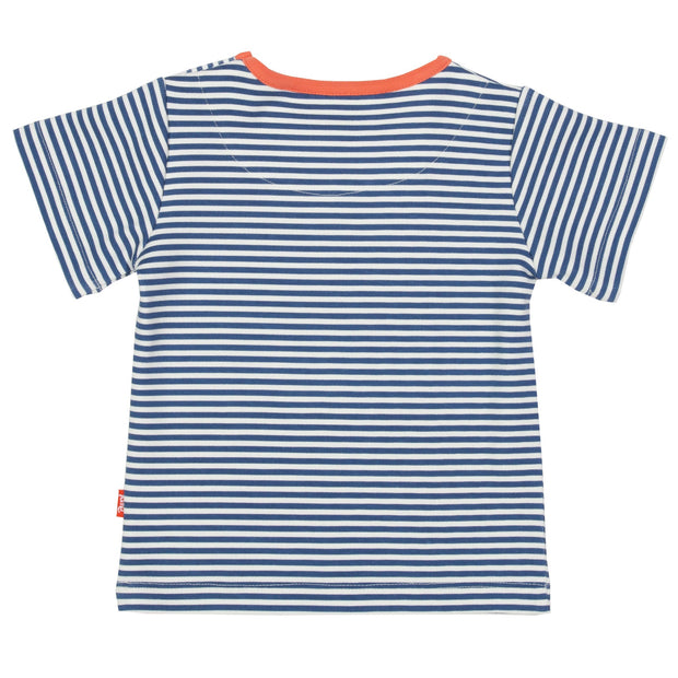 Boy in stripy fish t-shirt