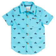 Boy in wonder whale shirt