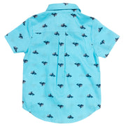 Boy in wonder whale shirt